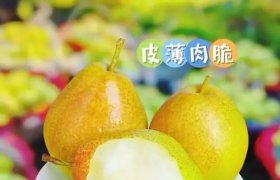 招商与展会