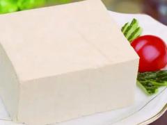 豆制素食区域代理招商