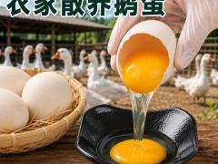 求购畜禽蛋奶大宗货源