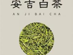 种业振兴为种植户带来利好