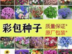 农产品批发市场数字化改造