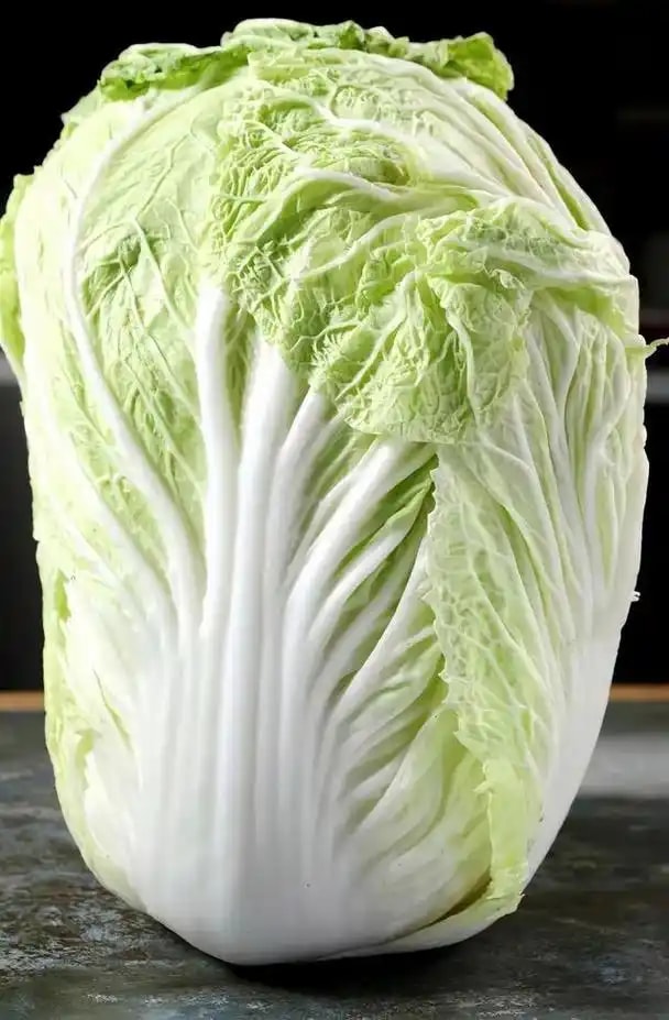 本地大白菜