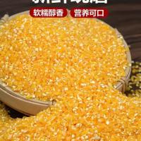 精选玉米糁批发