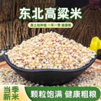 高粱米五公斤装