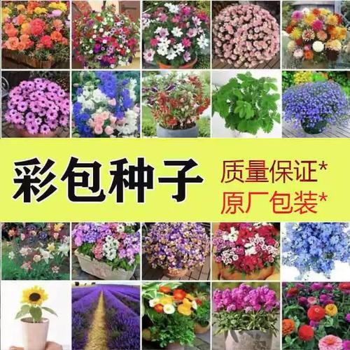 花卉种子包